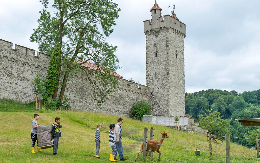 Erlebnistag auf dem Hof Hinter Musegg